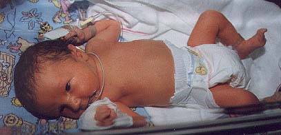 baby1.jpg (17295 bytes)