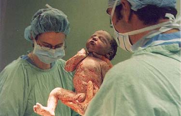 baby3.jpg (15520 bytes)